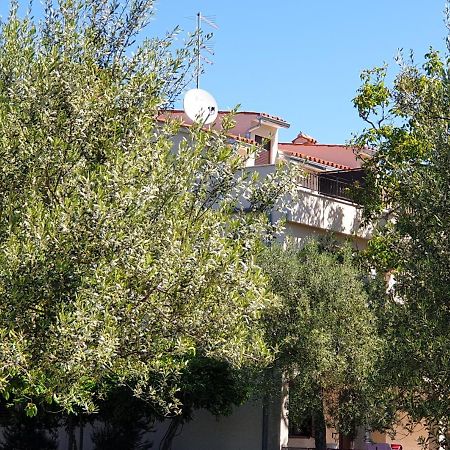 Boutique Rooms Mare Fabulas Ρόβινι Εξωτερικό φωτογραφία