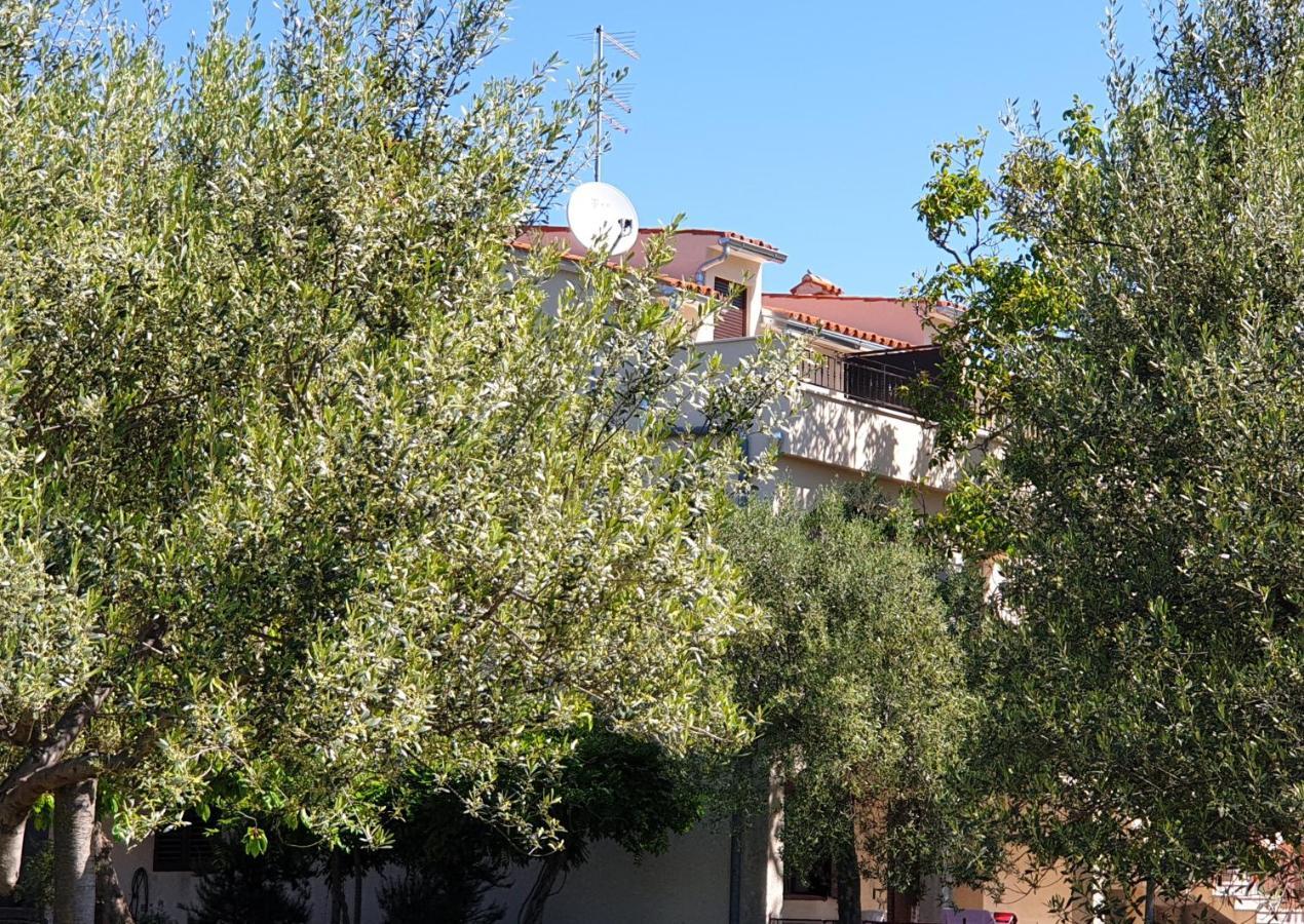 Boutique Rooms Mare Fabulas Ρόβινι Εξωτερικό φωτογραφία