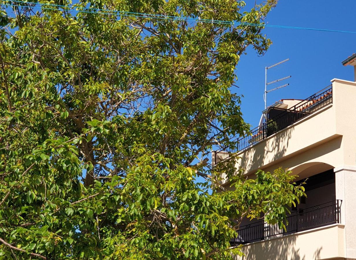Boutique Rooms Mare Fabulas Ρόβινι Εξωτερικό φωτογραφία