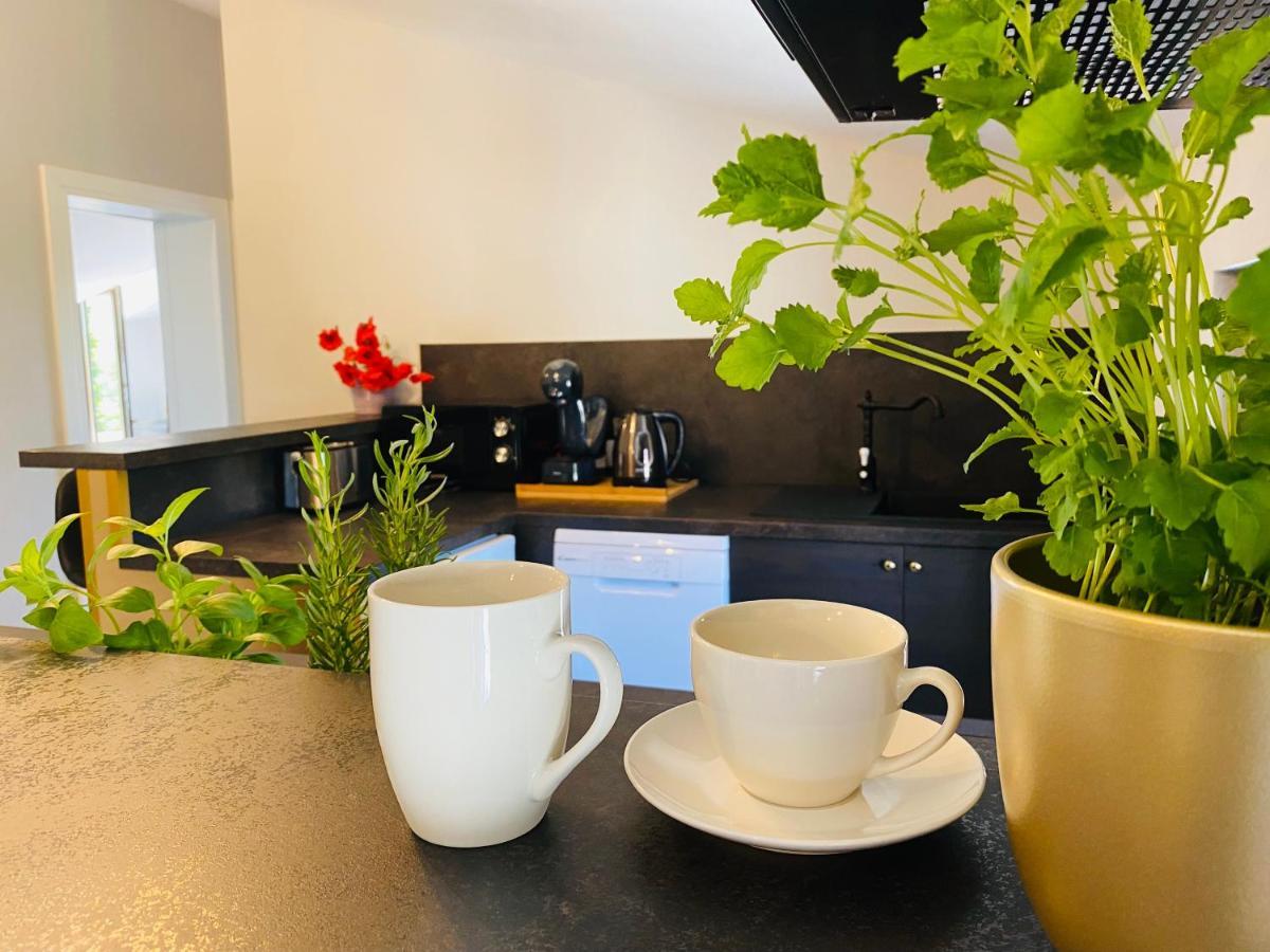 Boutique Rooms Mare Fabulas Ρόβινι Εξωτερικό φωτογραφία